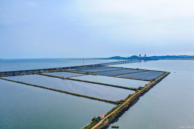 惠来前詹镇鲍鱼场,透明海水养殖池,见识海洋珍宝