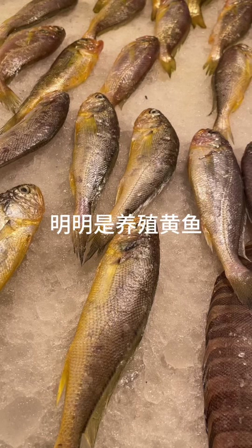 黄花鱼市场探秘 3斤重的海水养殖黄花鱼价格几何？