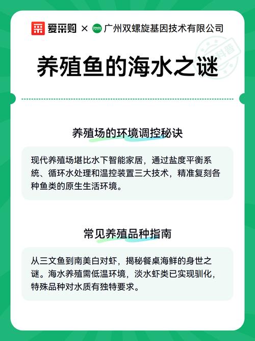 养殖鱼的海水之谜 探寻海水养殖的奥秘